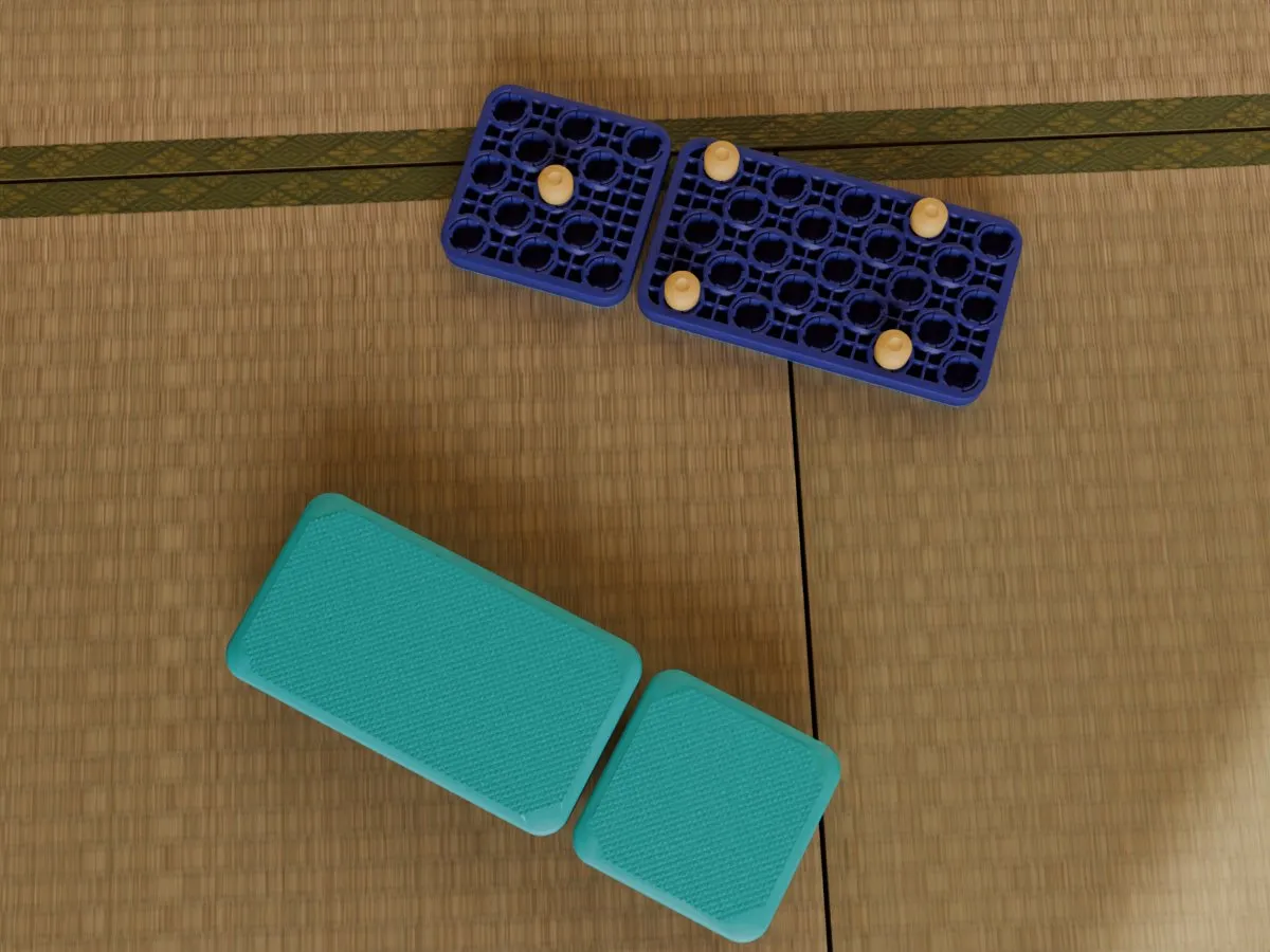 AnkleGrid balance board, room overhead
