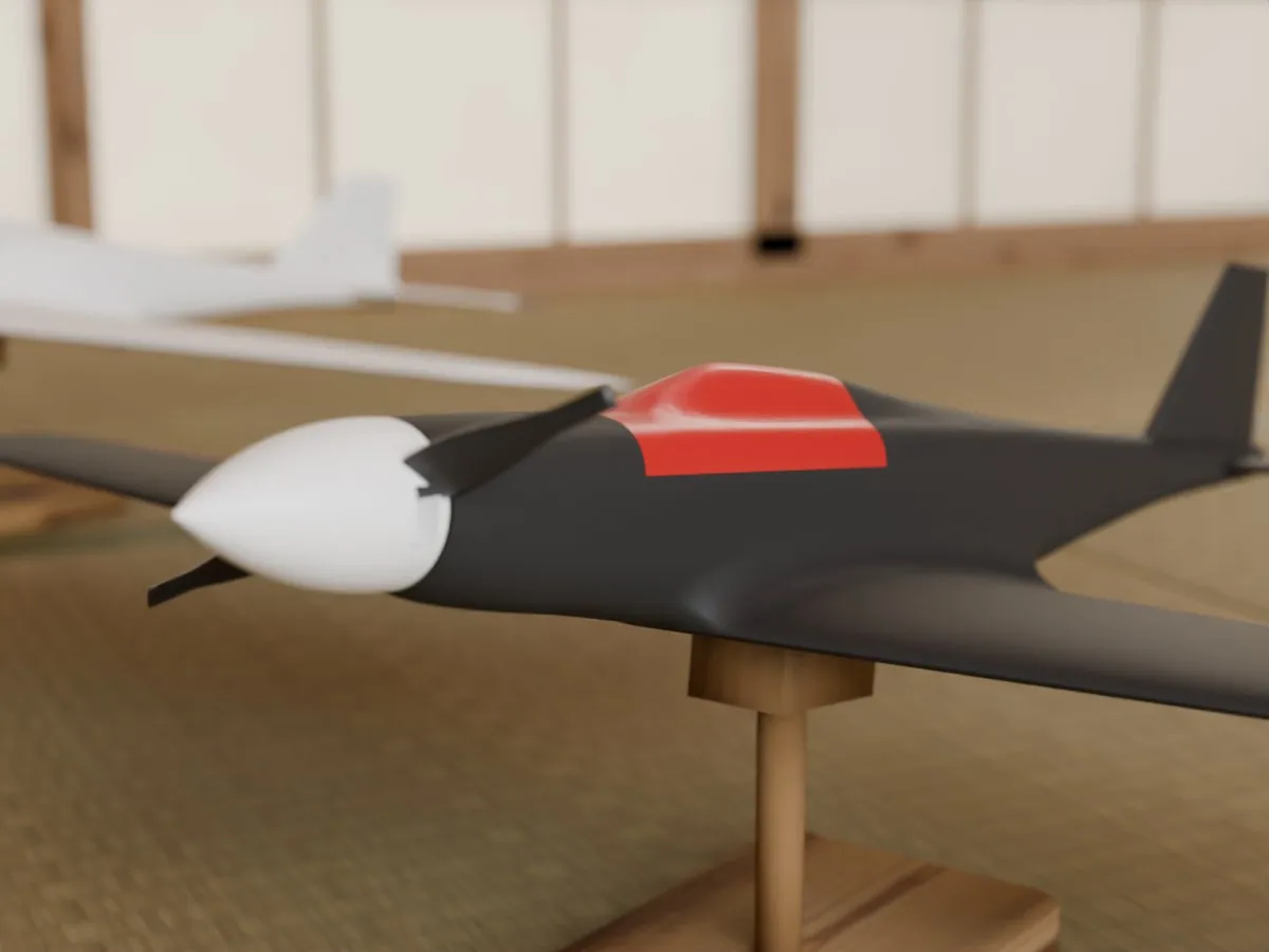 Pylon racer RC plane, room nose